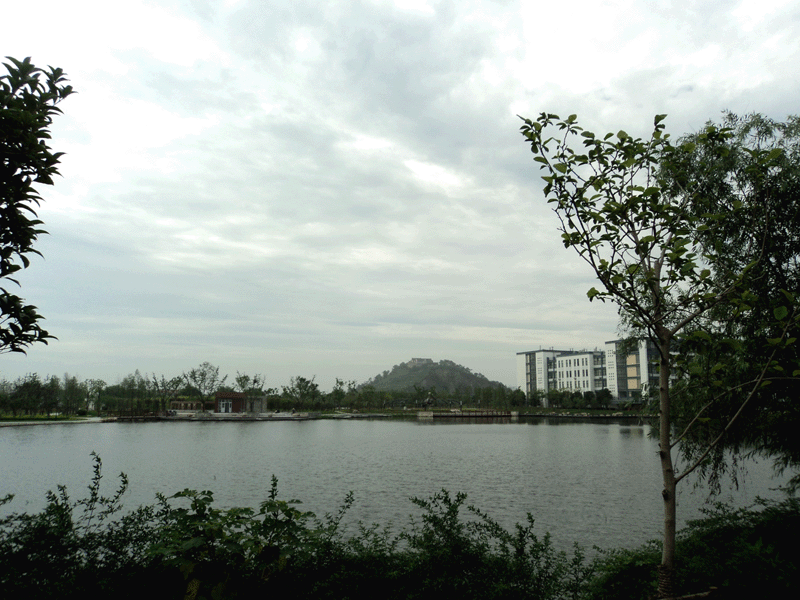 中心湖